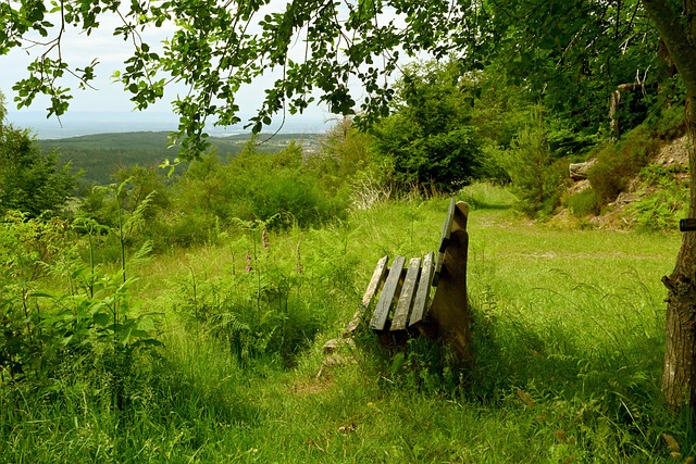 者的目光 者的目光