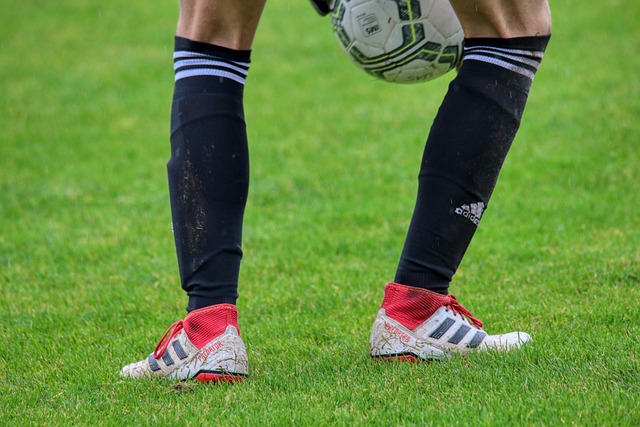 积极表现 积极表现