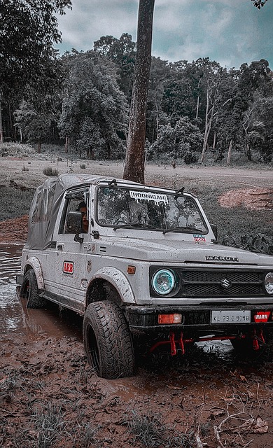 出手点更高 出手点更高