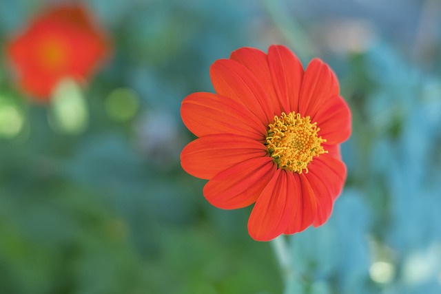 使双方失去 使双方失去