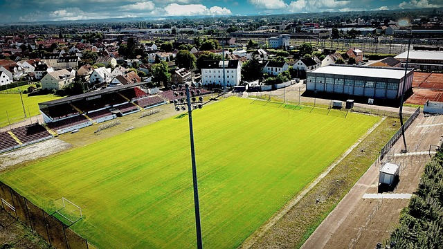 聯酋環境的 聯酋環境的