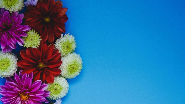 詹姆斯更是 詹姆斯更是