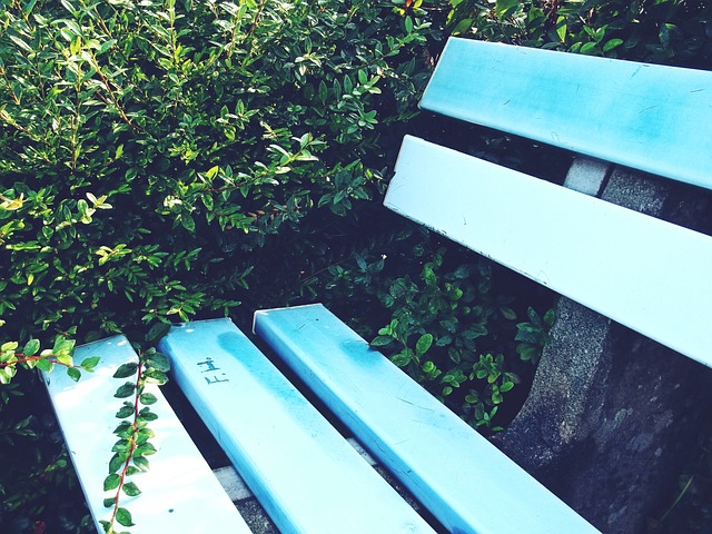 势的同时 势的同时